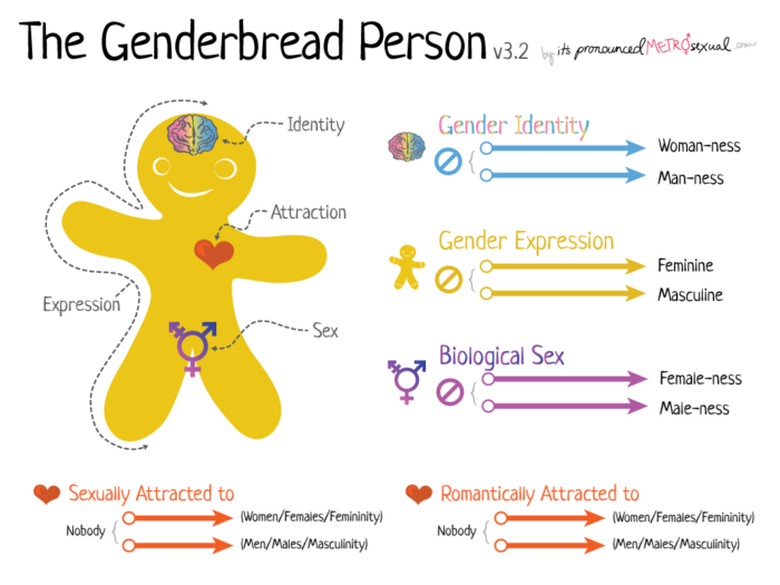 genderbread